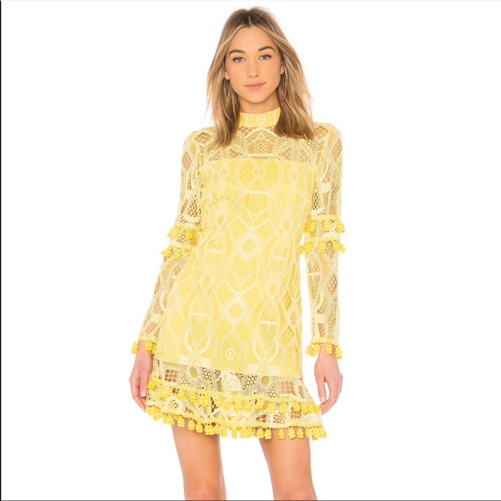 Alexis Callisto Dress